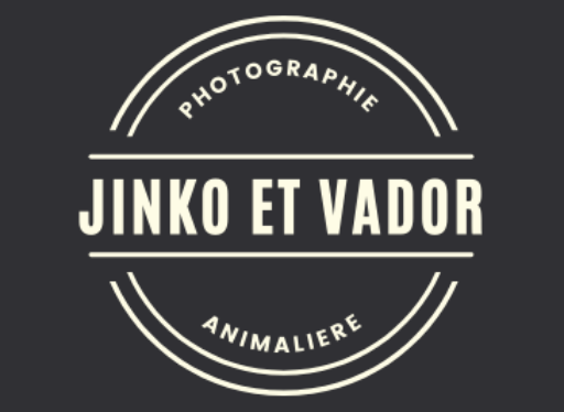 Jinko et Vador